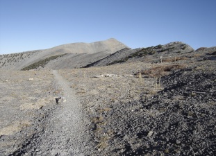 Mount Charleston 