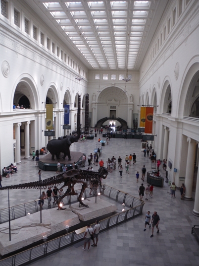 Field Museum