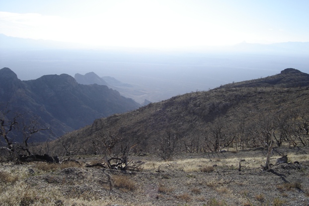 west into Nevada