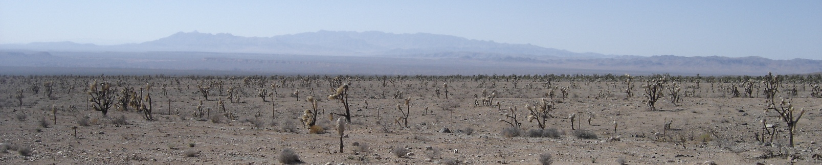 Nevada from the Utah-Arizona border