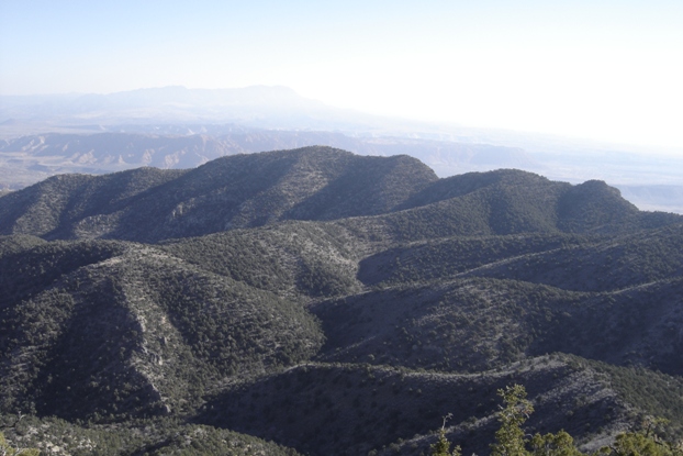 distant Signal Peak