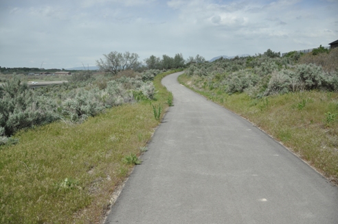 Madison River Trail