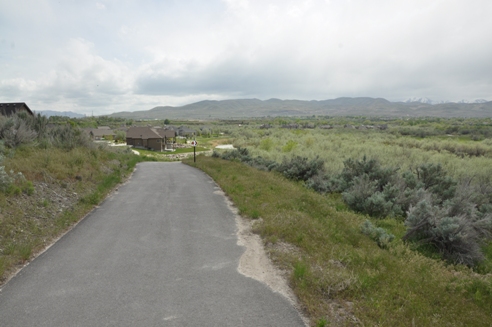 Madison River Trail