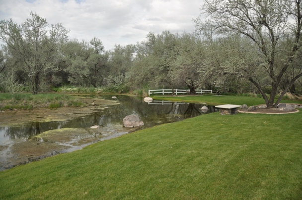 Springview Farms Trail