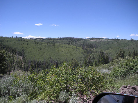 Bruin Point from roads east