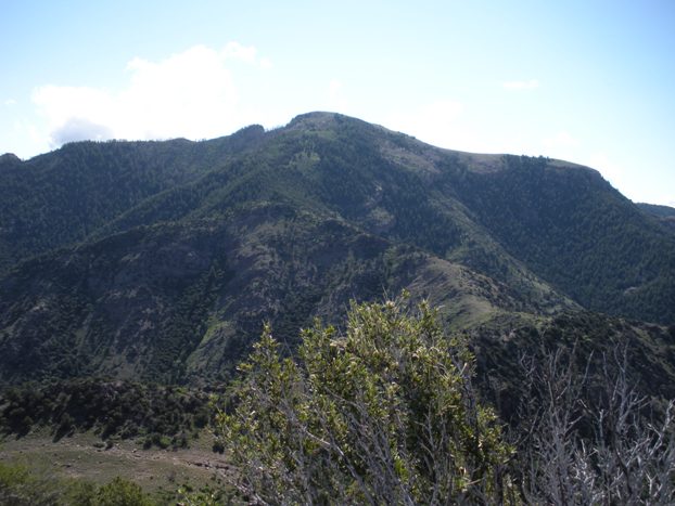 Fool Creek Peak 