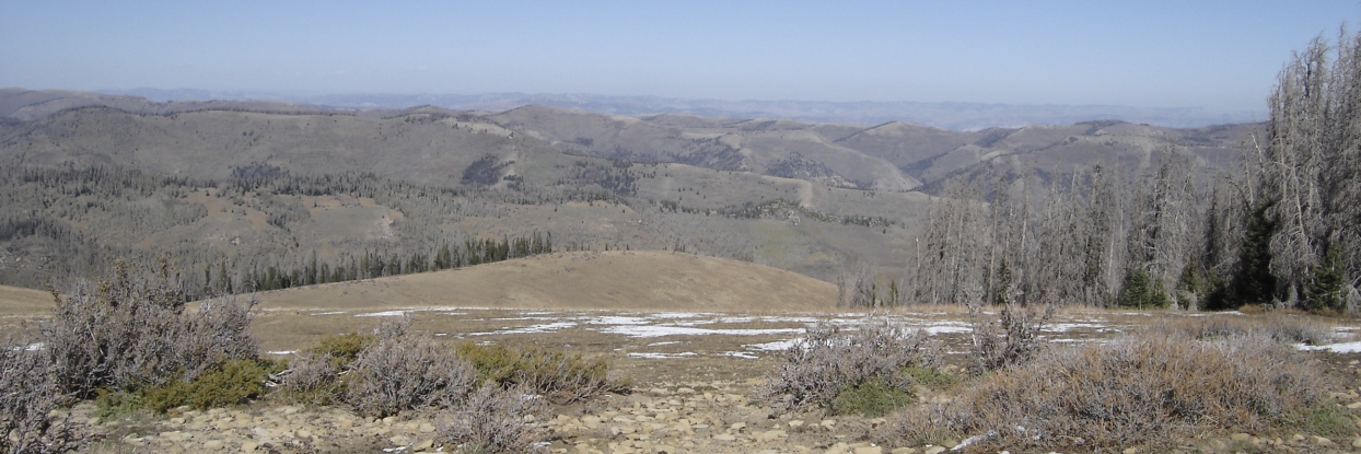 Views from East Mountain Utah
