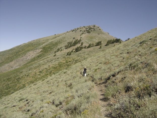 Route up Thurston Peak