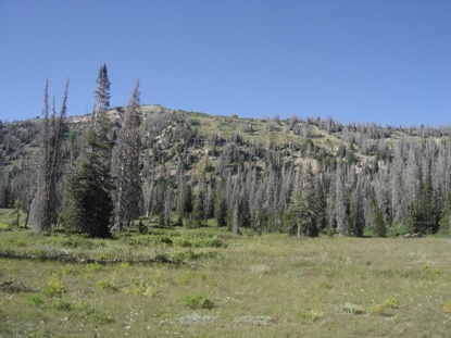 North Tent Mountain 