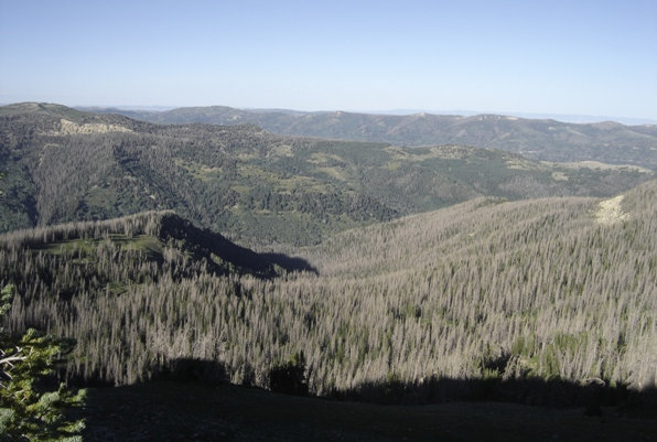 south tent mountain