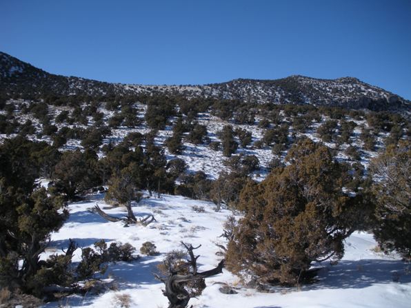 Cricket Mountains