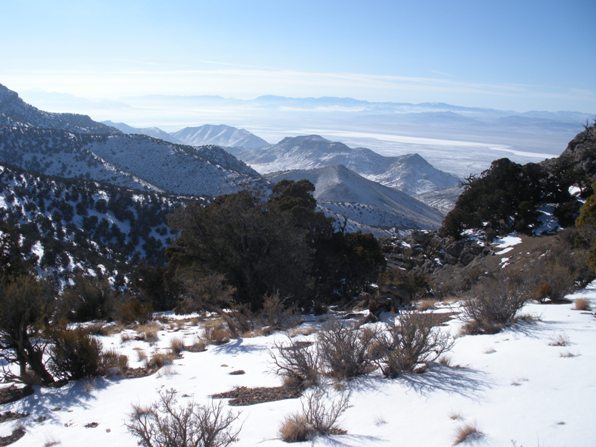 Cricket Mountains