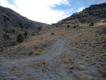 Newfoundland Mountains trail