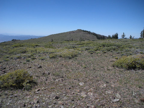 view to Signal Peak