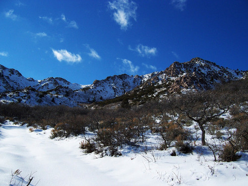 Black Crook Peak 