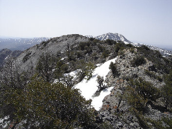 Climbing Red Pine Mountain
