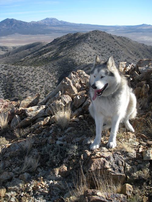 Davis Mountain