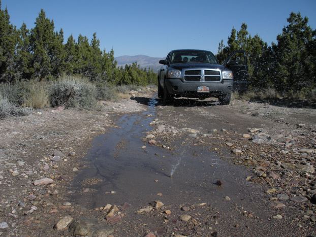 Indian Peaks road spring