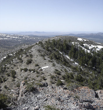 Southwest from Red Pine