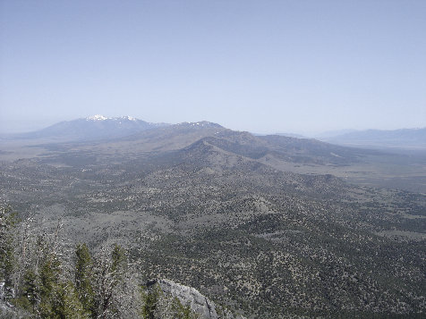 Looking Northeast from Red Pine