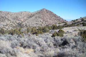 Grassy Mountains Highpoint