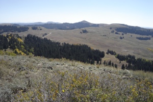 Wolf Creek Peak