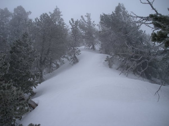 Snowshoeing the ridge