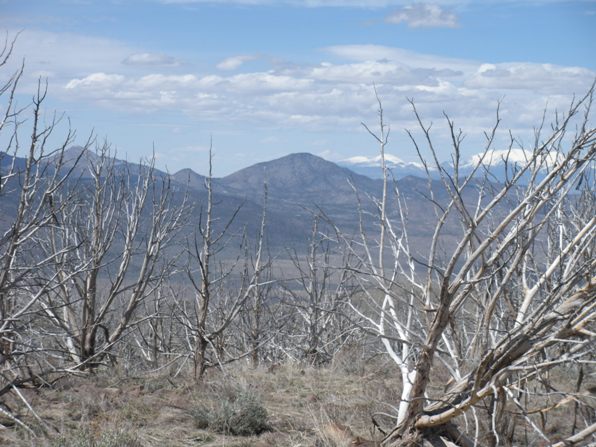 Pinyon Peak from Long 
