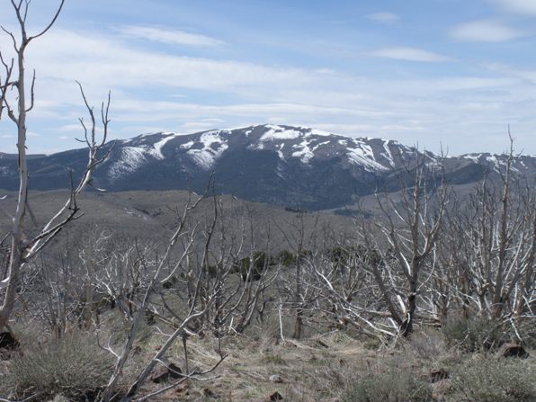 Tintic Mountain