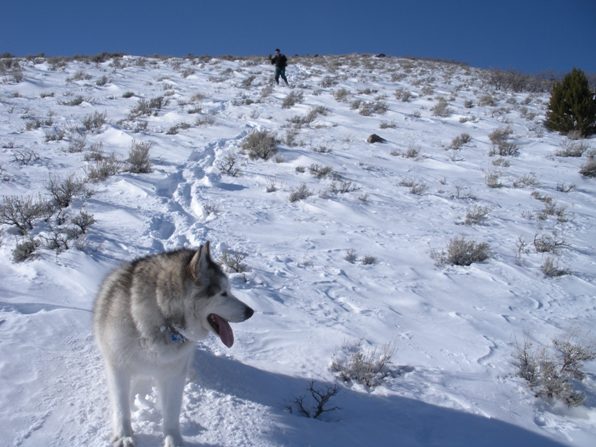 Dozer on his way down