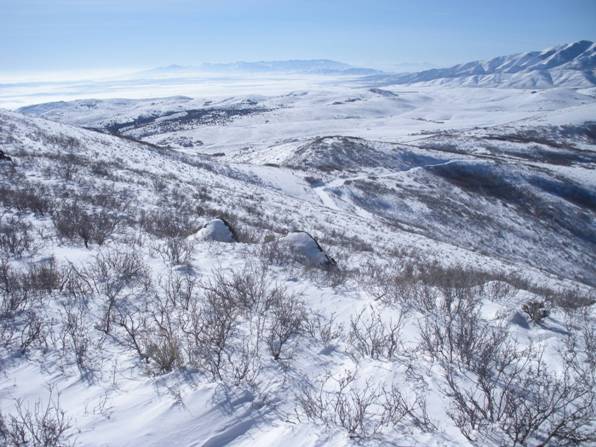 snowshoeing