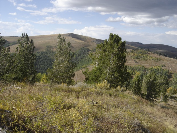 Jacks Peak from Willow Creek Mountain