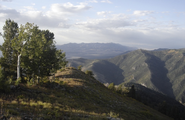 north from Pioneer