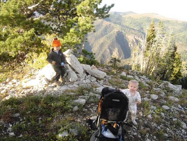 summit of Pioneer Peak