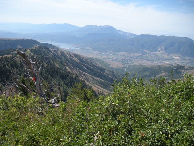 Pineview Reservoir 