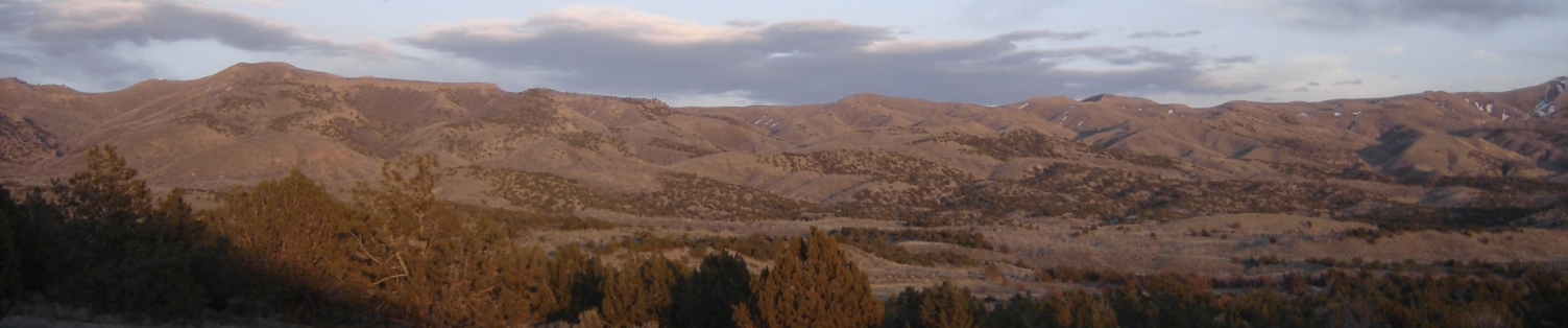 Cedar Mountains 