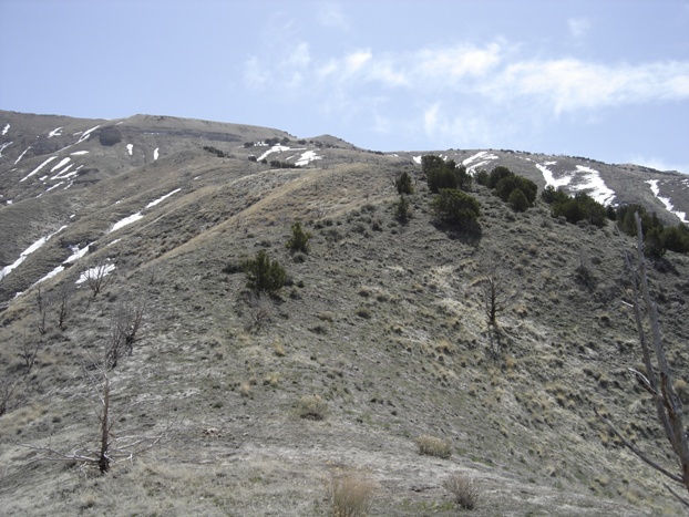 Hiking Cedar Mountains Utah