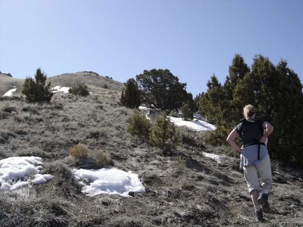 Climbing Cedar Mtns. highpoint