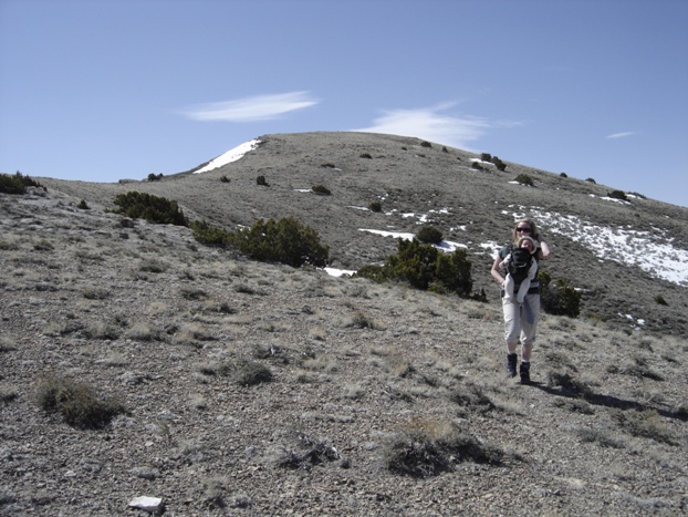 Hiking Cedar Mountains Utah