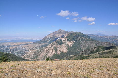 Ben Lomond 