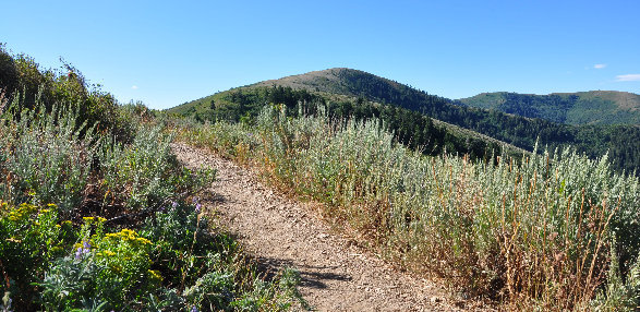 Lewis Peak hike