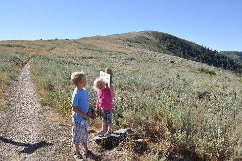 Lewis Peak trail