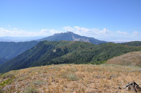 Mount Ogden 