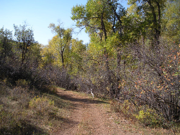 Redrock Canyon road