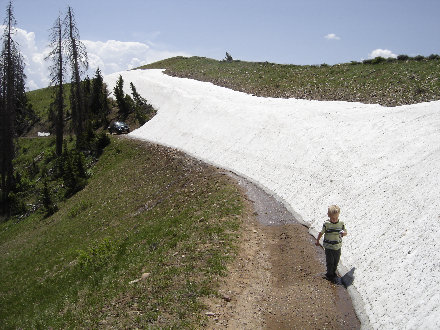 Snow patch on road