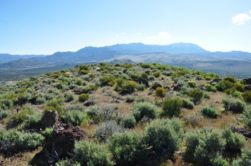 Pine Valley Mountains