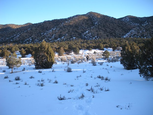 Snowshoeing to Stevens BM.