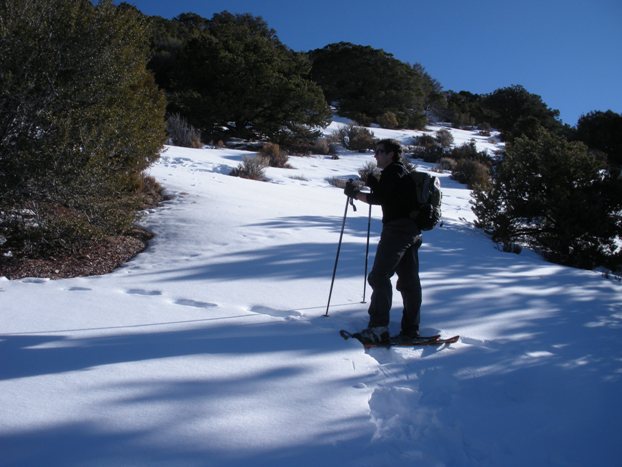 Climbing Stevens Benchmark.