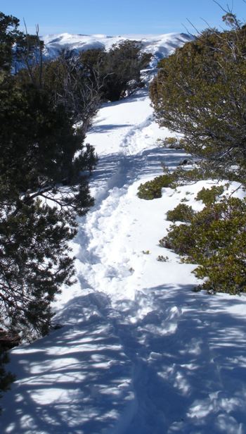 snowshoe trail