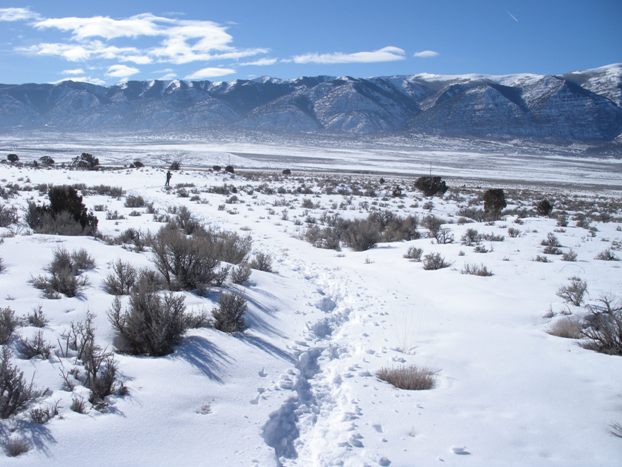 Round Valley